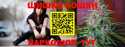 jwh Гатчина