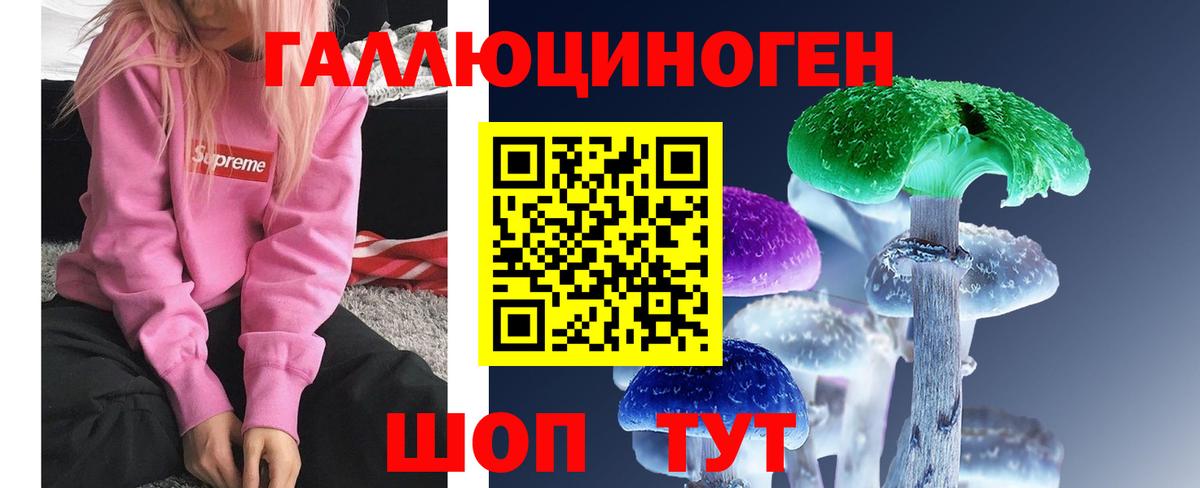 Галлюциногенные грибы Cubensis Ступино